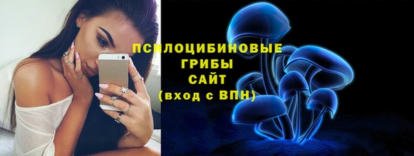 гашик Касимов